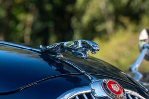 Bild 29/50 von Jaguar Mk II 2.4 (1964)