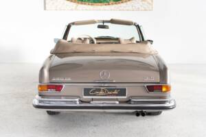 Bild 8/42 von Mercedes-Benz 280 SE 3,5 (1971)