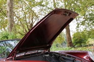 Bild 42/50 von Porsche 911 SC 3.0 (1982)