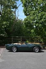 Afbeelding 14/50 van Daimler SP 250 (1963)