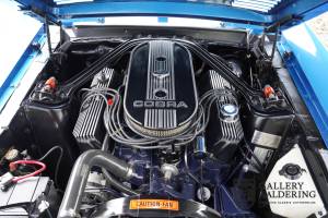 Bild 4/50 von Ford Shelby GT 500-KR (1968)