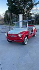 Bild 21/38 von FIAT 600 Ghia &quot;Jolly&quot; (1964)