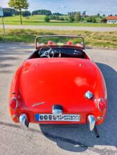 Image 5/7 of Austin-Healey Sprite Mk I (1959)
