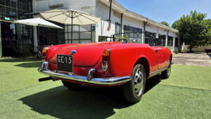 Image 13/71 of Alfa Romeo Giulietta Spider (1961)