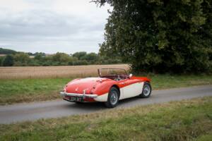 Bild 10/30 von Austin-Healey 3000 Mk I (BN7) (1959)