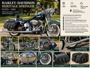 Image 1/4 of Harley-Davidson FLSTS Heritage Springer Classic (2001)