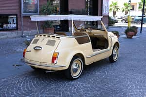 Bild 9/50 von FIAT Ghia 500 Jolly (1970)