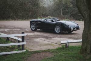 Image 43/53 de Austin-Healey 100/4 (BN2) (1955)