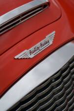 Bild 22/30 von Austin-Healey 3000 Mk I (BN7) (1959)
