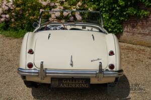 Image 24/50 of Austin-Healey 100/4 (BN1) (1954)