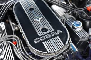 Bild 18/50 von Ford Shelby GT 500-KR (1968)