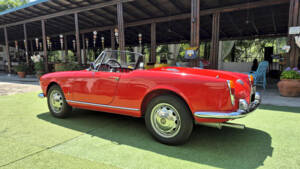Image 16/71 of Alfa Romeo Giulietta Spider (1961)