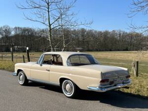 Afbeelding 5/11 van Mercedes-Benz 250 SE (1966)
