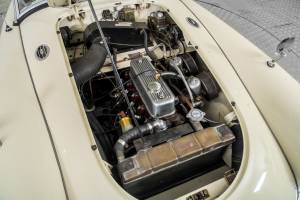 Image 42/50 of MG MGA 1500 (1958)