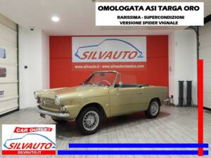 Bild 1/14 von FIAT 600 Spider Vignale (1966)