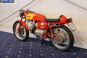 Image 16/27 of Aermacchi Ala Verde (1962)