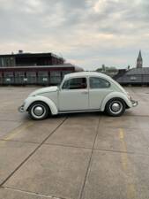 Bild 7/56 von Volkswagen Käfer 1300 (1968)