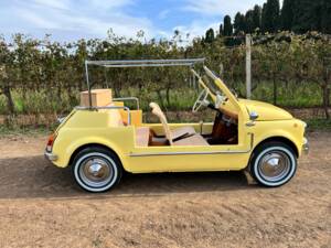 Bild 9/80 von FIAT Ghia 500 Jolly (1972)