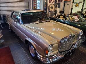 Bild 1/19 von Mercedes-Benz 280 SE 3,5 (1971)