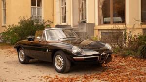 Image 39/51 of Alfa Romeo 1600 Spider Duetto (1966)