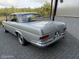 Afbeelding 8/36 van Mercedes-Benz 250 SE (1966)