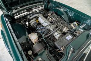 Immagine 34/50 di Triumph TR 6 PI (1972)