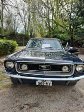 Immagine 3/8 di Ford Mustang 302 (1968)