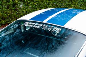 Image 14/27 of Ford Shelby GT 350 (1966)