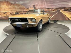 Immagine 10/46 di Ford Mustang 390 (1967)