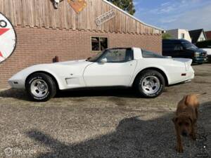 Afbeelding 26/50 van Chevrolet Corvette Sting Ray (1979)