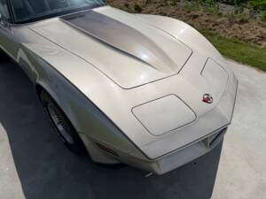 Afbeelding 7/50 van Chevrolet Corvette Collector Edition (1982)