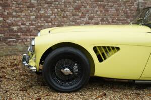 Bild 23/50 von Austin-Healey 3000 Mk I (BN7) (1960)