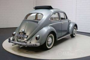 Bild 18/19 von Volkswagen Käfer 1200 Standard &quot;Dickholmer&quot; (1959)
