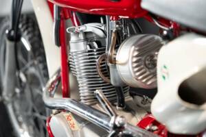 Image 16/36 of Moto Morini DUMMY (1969)