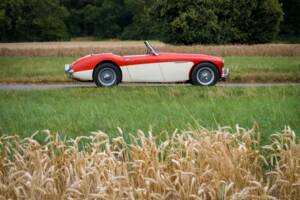 Bild 11/30 von Austin-Healey 3000 Mk I (BN7) (1959)