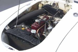 Bild 5/19 von MG MGA 1600 (1961)