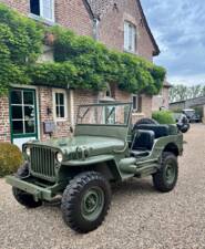 Immagine 17/20 di Jeep Willys-Overland CJ-3A (1950)