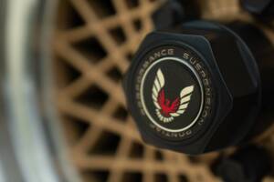 Imagen 10/50 de Pontiac Firebird TransAm (1989)