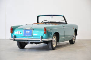 Bild 39/54 von Lancia Appia Convertible Vignale (1961)