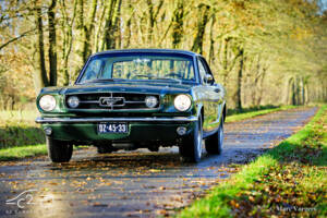 Image 24/58 of Ford Mustang 289 (1965)