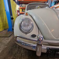 Bild 59/140 von Volkswagen Käfer 1200 Export "Dickholmer" (1963)