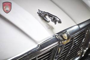 Afbeelding 5/45 van Jaguar XJ12c (1974)