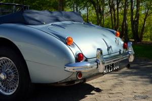 Image 14/19 of Austin-Healey 3000 Mk III (BJ8) (1967)