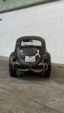Image 14/84 of Volkswagen Beetle 1200 (1969)