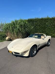 Image 1/21 de Chevrolet Corvette Stingray (1977)