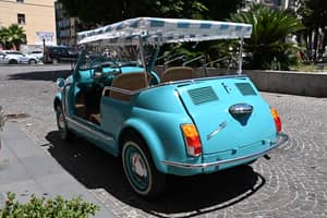 Image 14/90 of FIAT Ghia 500 Jolly (1970)