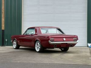 Bild 18/47 von Ford Shelby GT 350 (1966)
