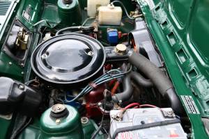 Image 16/20 of Ford Fiesta Healey (1978)