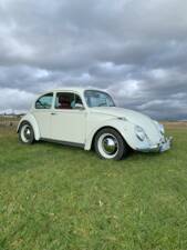 Bild 1/56 von Volkswagen Käfer 1300 (1968)