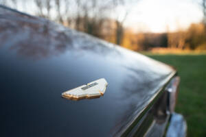 Imagen 33/53 de Aston Martin V8 Vantage (1977)